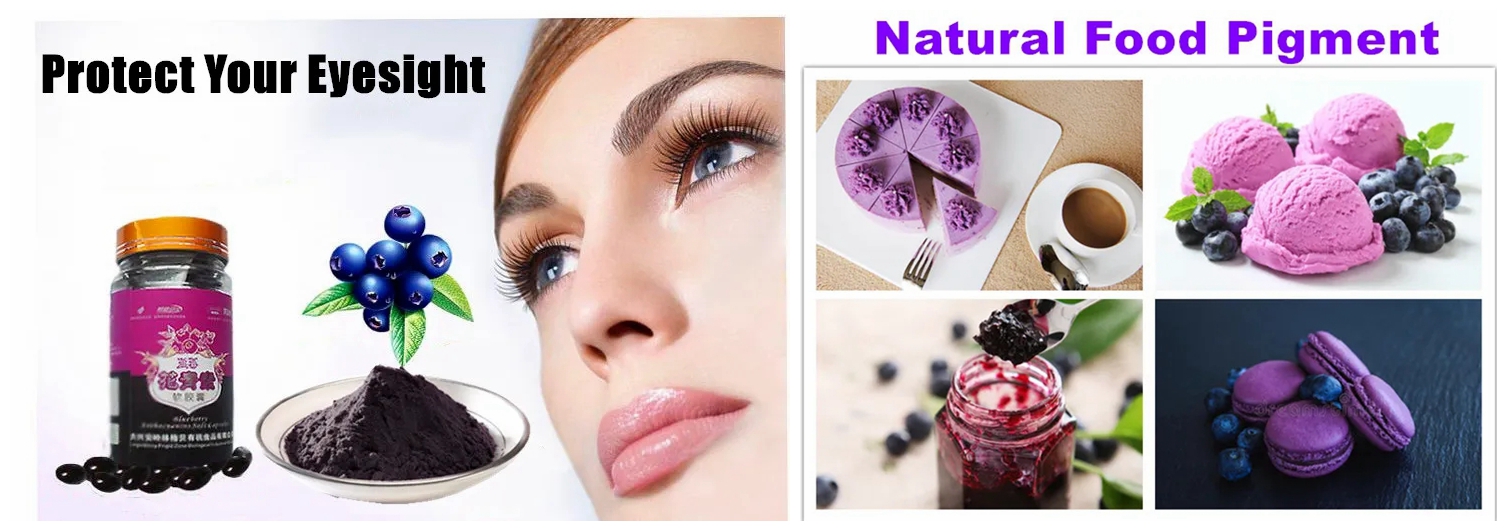Elderberry extract 