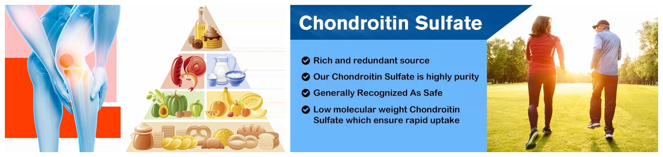 Chondroitin sulfate Powder_副本_副本_副本