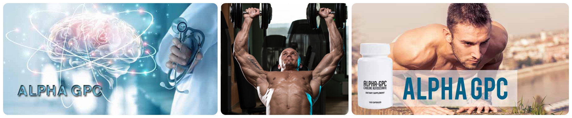 Alpha GPC Powder