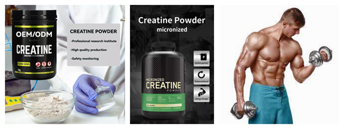 Creatine monohydrate Powder_副本