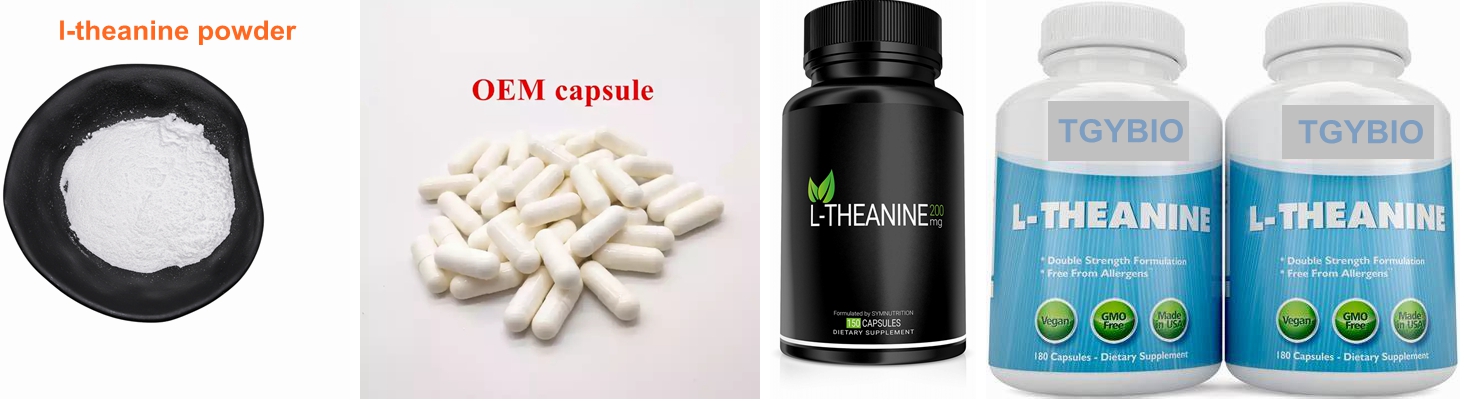 L-Theanine Powder_副本