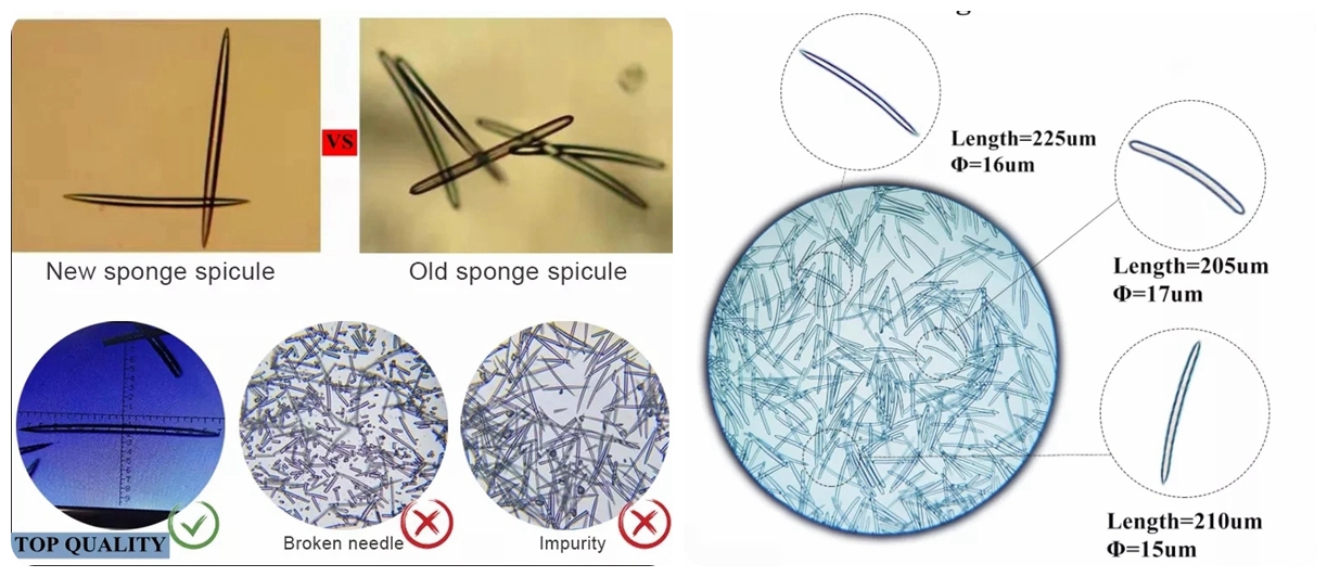 Sponge microneedle 