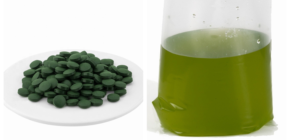  Nannochloropsis 2