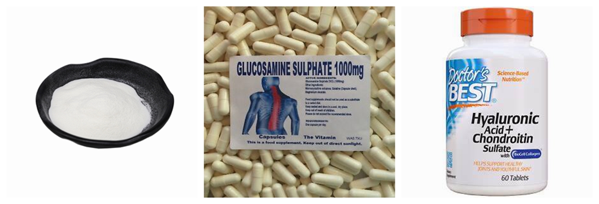 Chondroitin sulfate Powder_副本_副本
