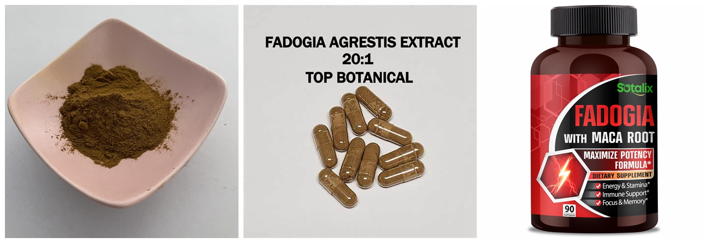 Fadogia agrestis extract