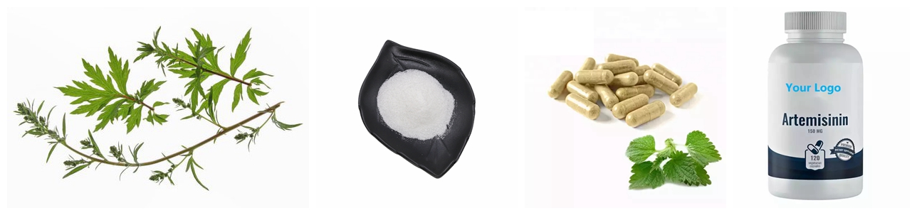 Artemisinin powder