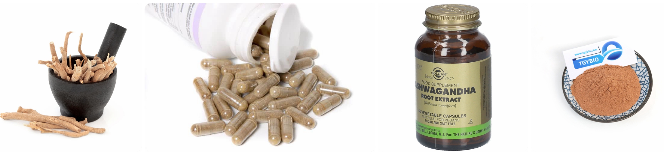 Ashwagandha Root Extract Powder
