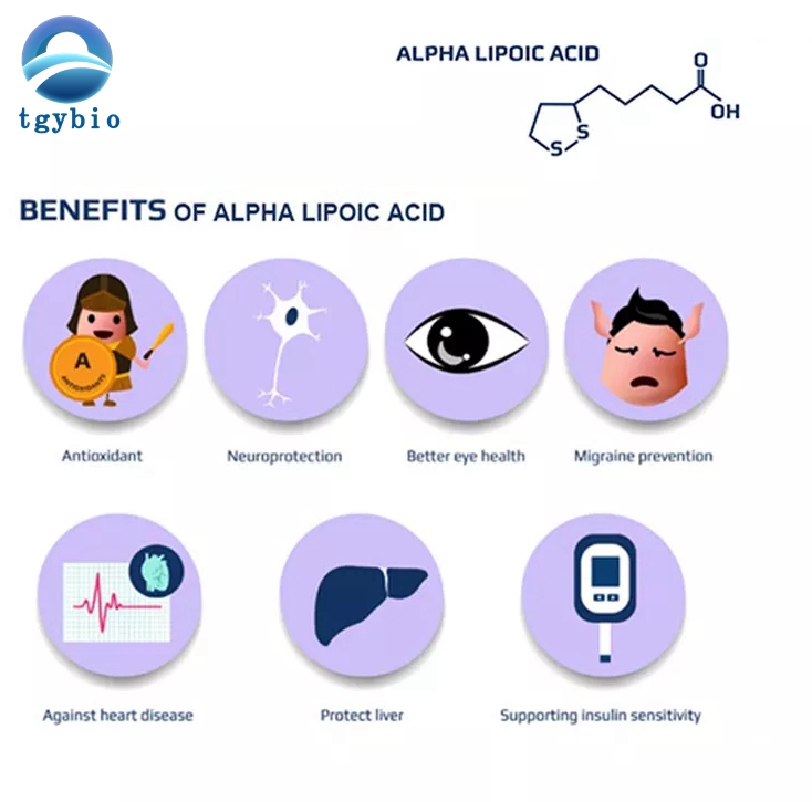 Alpha lipoic acid function