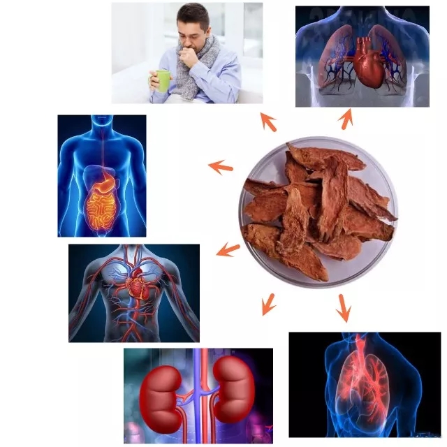  Rhodiola Rosea Extract 