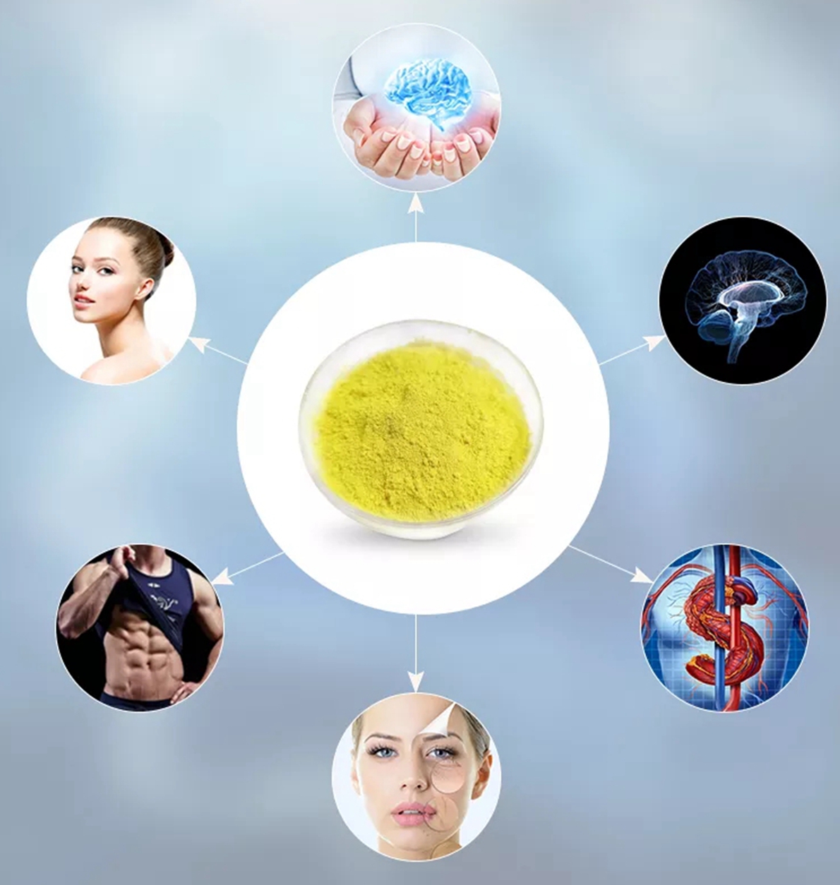  Fisetin Powder
