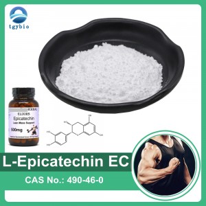 100% Natural Green Tea Extract L-Epicatechin 90...