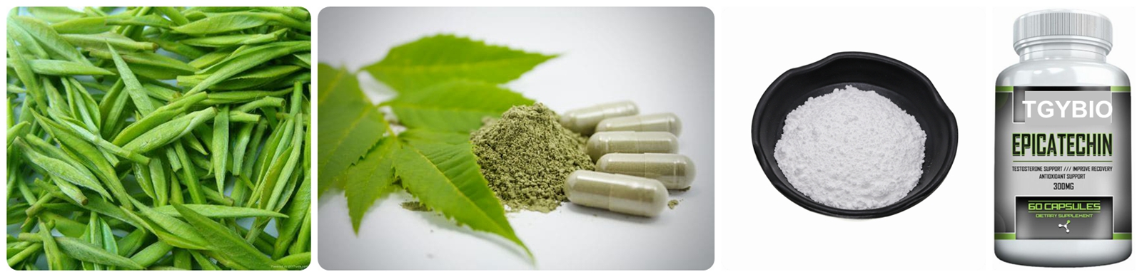 L-Epicatechin Powder