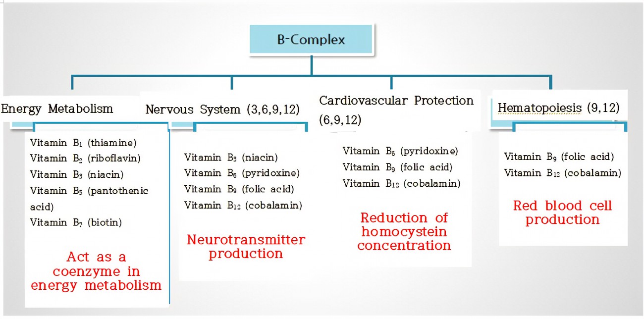 Vitamin B1