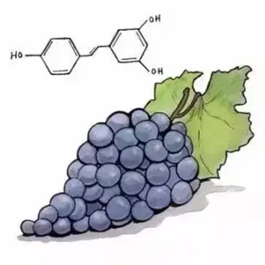 What is The Benefit of Taking Resveratrol?