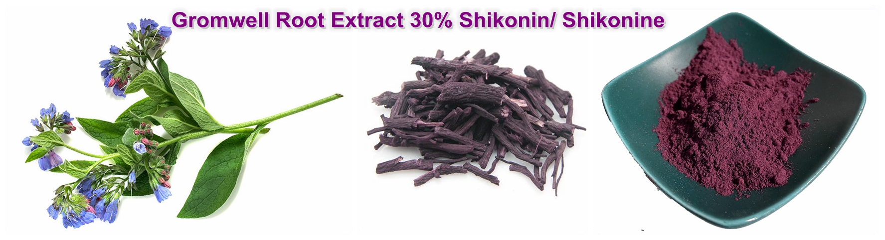 Shikonine Powder