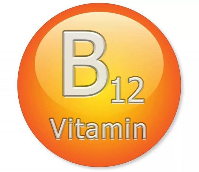 What is B12 Powder Good For?