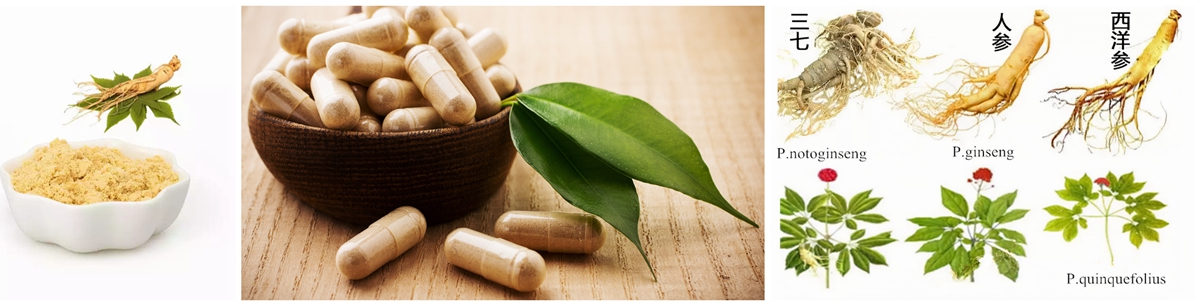 Ginseng Root Extract_副本