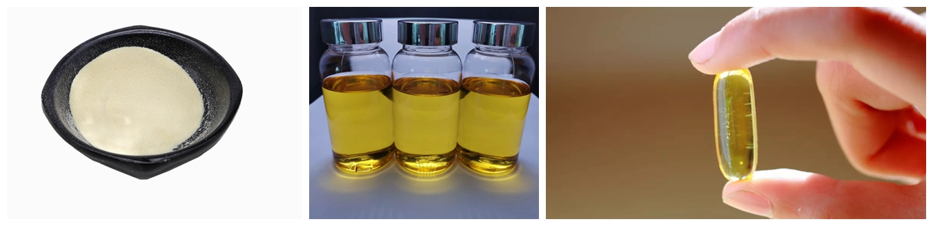 Omega 3 fish oil powder