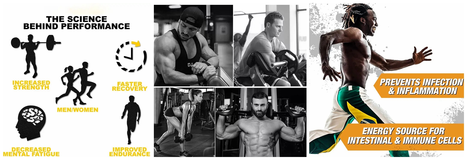 Beta Alanine Powder