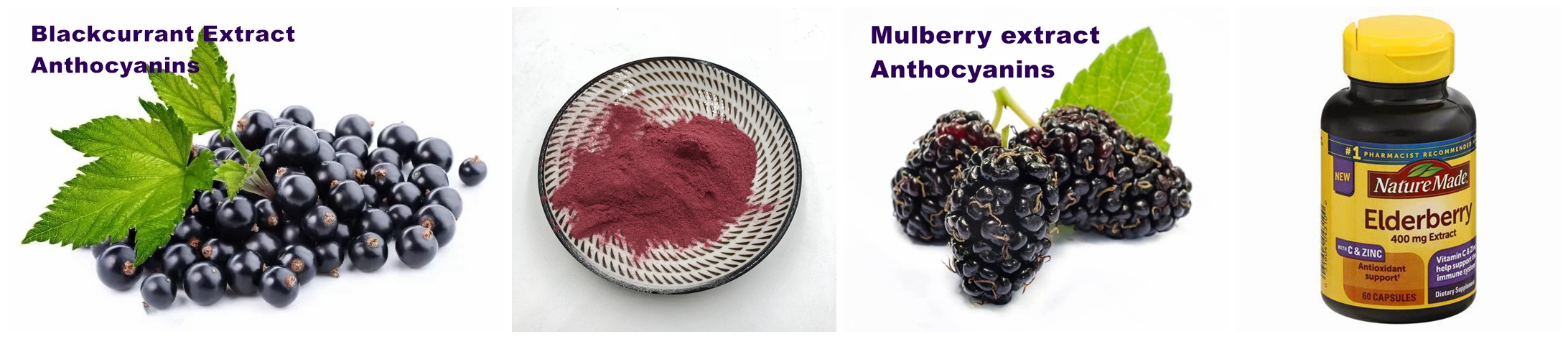 Elderberry extract 