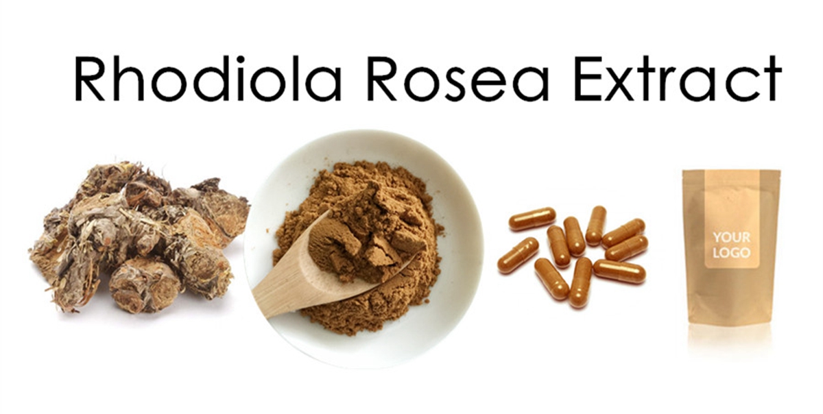 rhodiola rosea extract 2